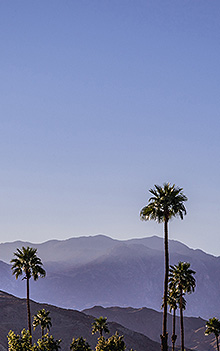 Inman Park / Old Fourth Ward Photo